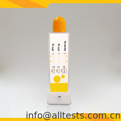 Good price सीपीवी सीसीवी जार्डिया लैम्बिया के लिए तेजी से निदान परीक्षण किट ऑनलाइन