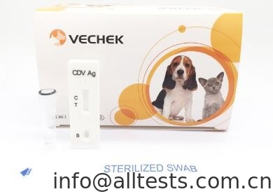 Canine Distemper Virus Ag Test , Rapid Test Kits Accuracy Rate High As 98%