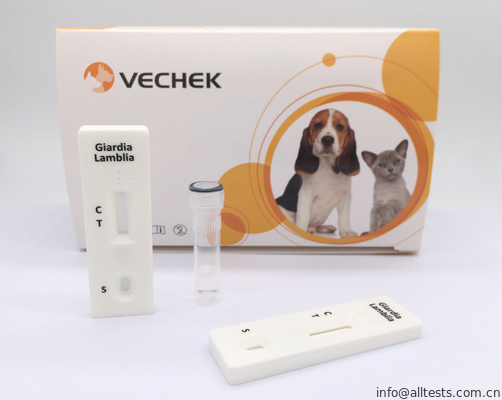 Good price सैंडविच प्रारूप पर आधारित सटीक Giardia Antigen कैसेट रैपिड टेस्ट किट ऑनलाइन